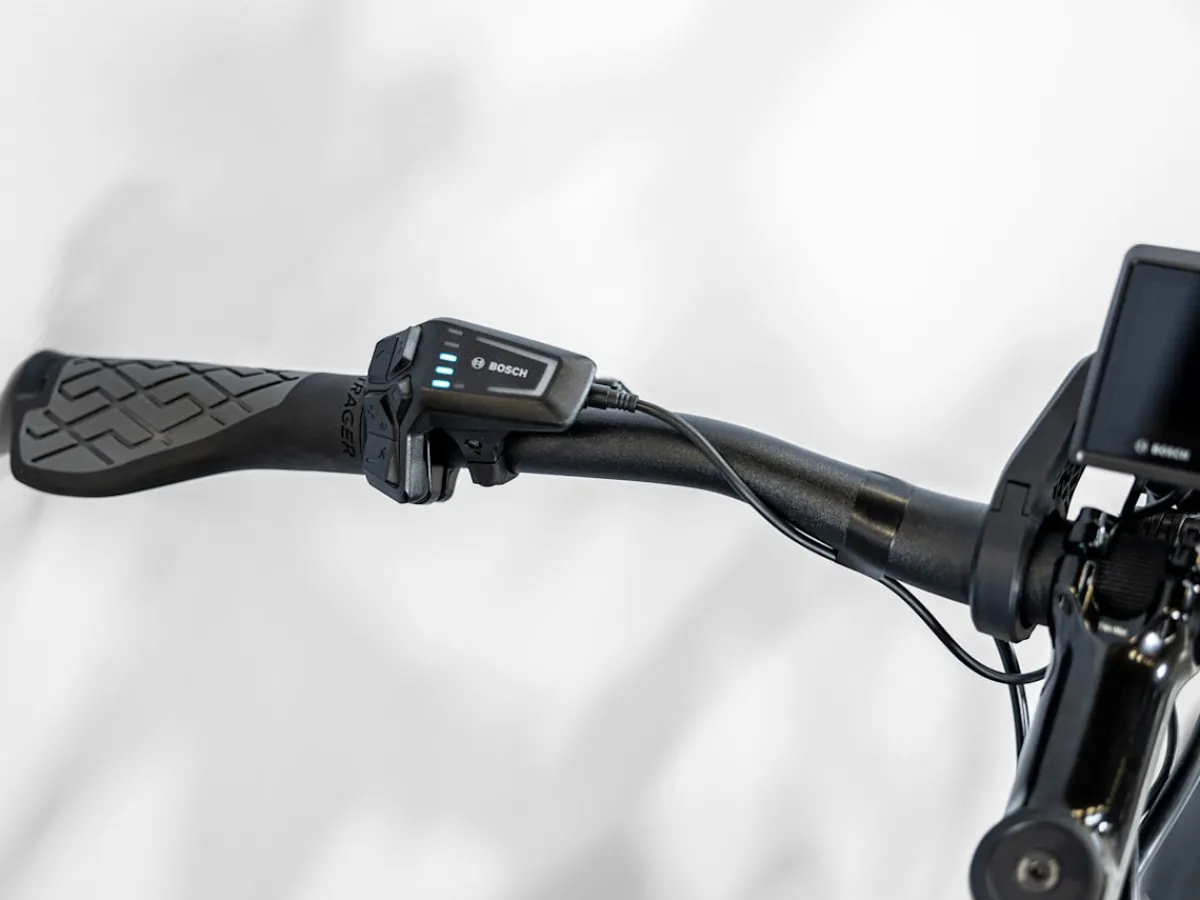 Trek Bikes Allant+ 6 Shop