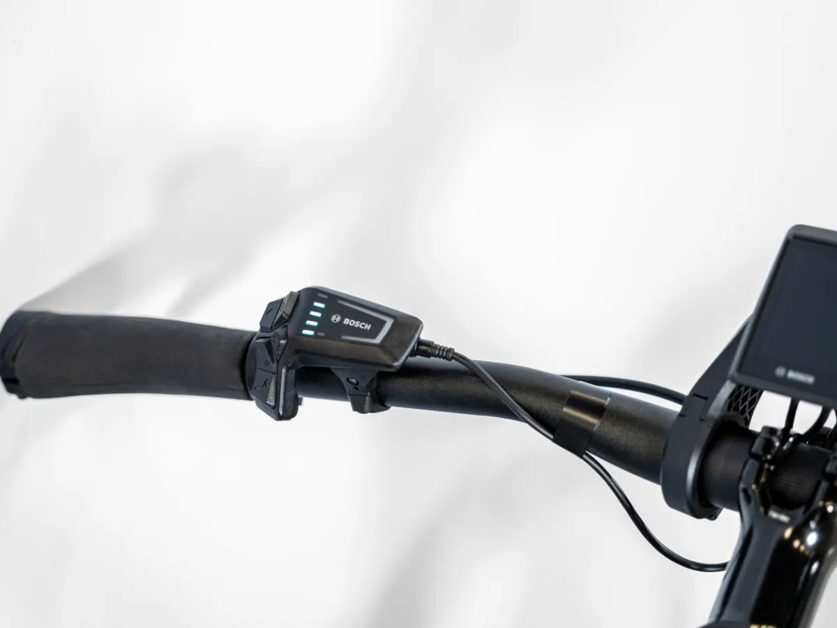 Trek Bikes Allant+ 5 Lowstep Fashion
