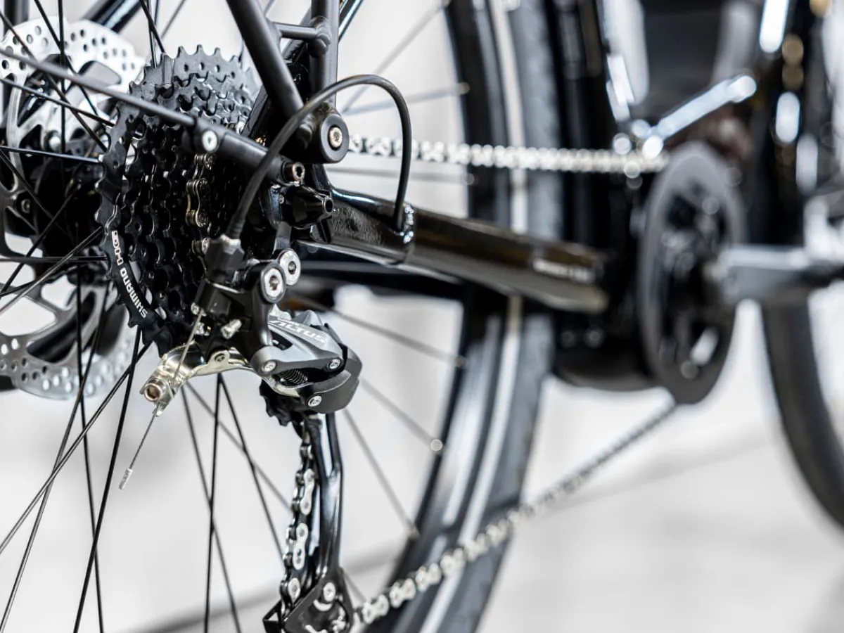 Trek Bikes Allant+ 5 Lowstep Fashion