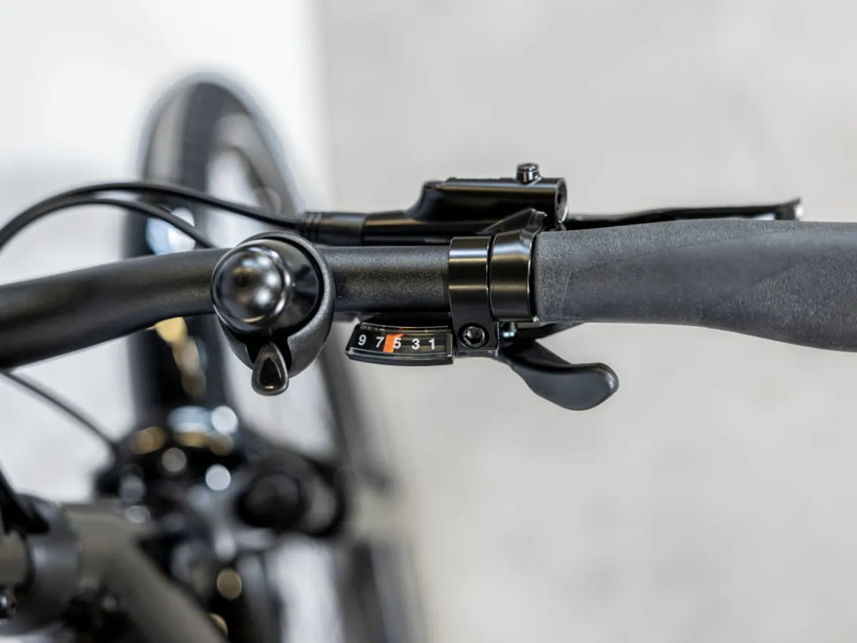Trek Bikes Allant+ 5 Lowstep Fashion