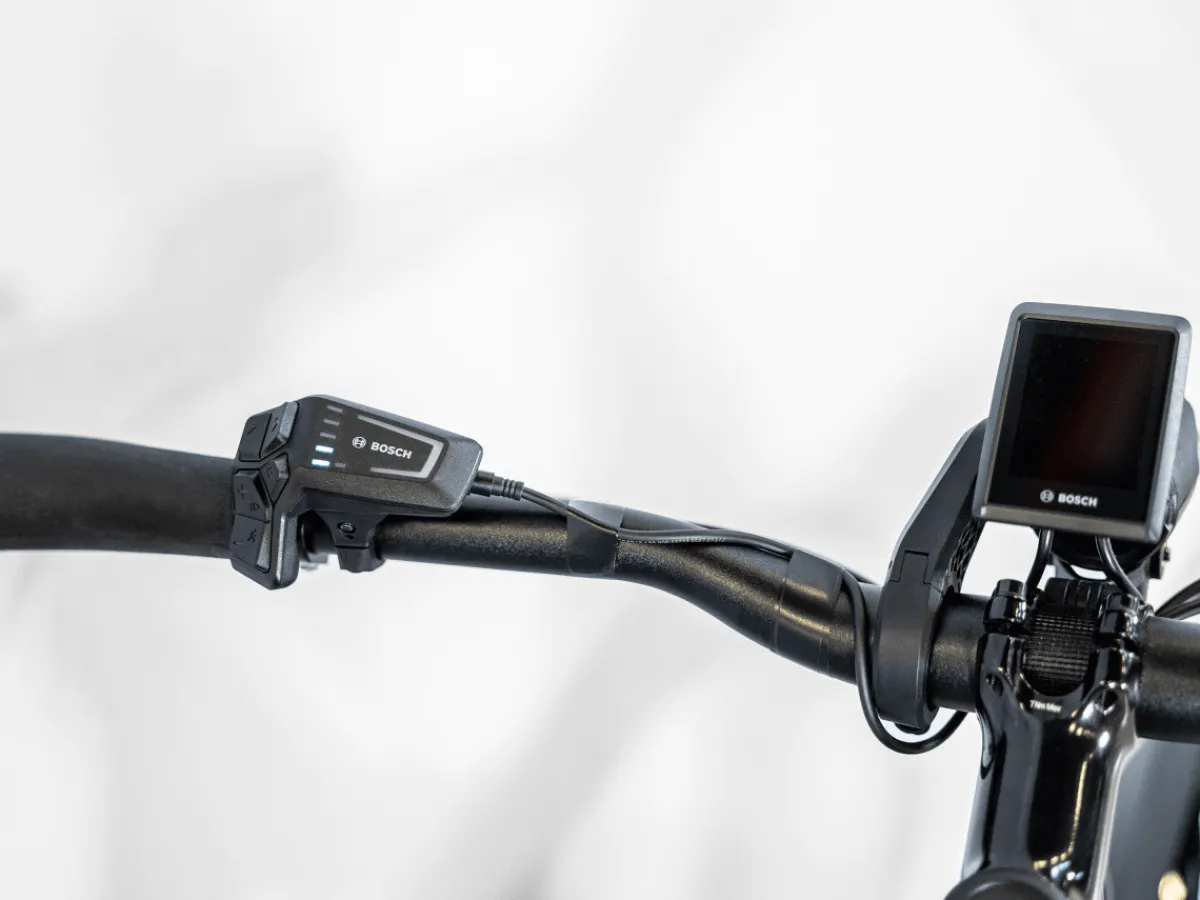 Trek Bikes Allant+ 5 Lowstep Fashion