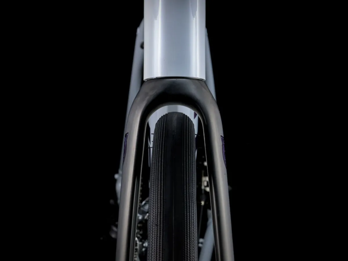 Trek Bikes Domane AL 2 Gen 4 Flash Sale