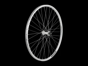 Trek Bikes Electra Townie 1 Rental 26" Wheel Silver Store