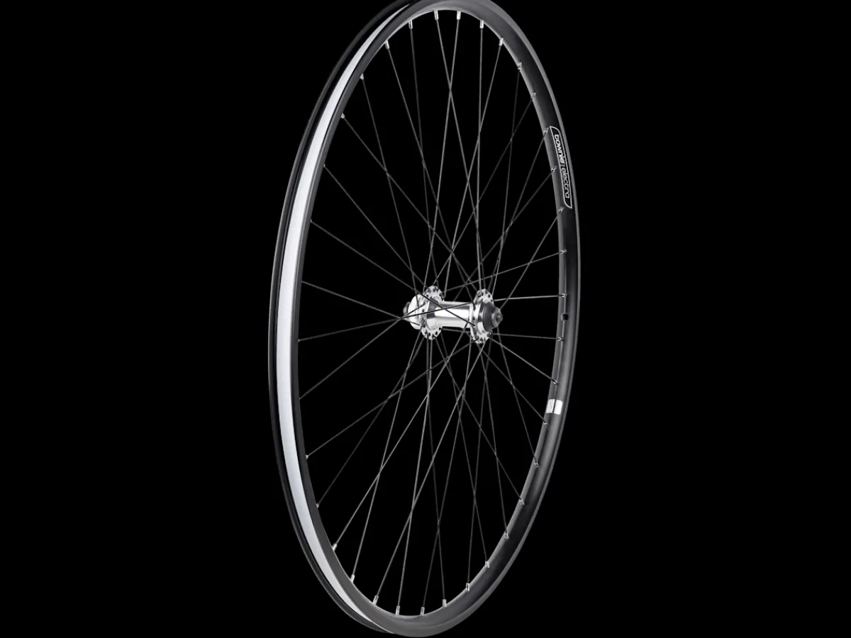 Trek Bikes Electra Townie Commute Go! 8i wielen New