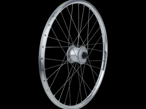 Trek Bikes Electra Townie 7D EQ 24" dameswielen Silver Shop