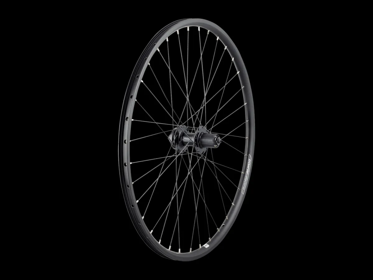 Trek Bikes Electra Townie Go! 8D 26” wiel Outlet