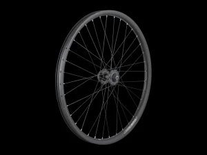 Trek Bikes Electra Townie Go! 35mm Wide Rim 7D 26" Wheel Fashion