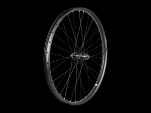 Trek Bikes Electra Townie Path 9D EQ Centerlock schijfrem 27.5" wiel Online