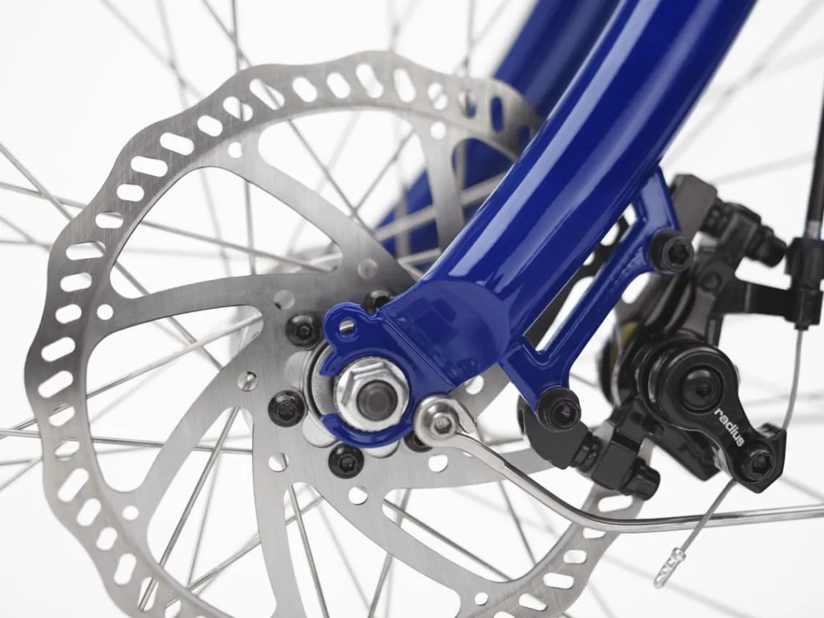 Trek Bikes Shibori Cruiser Go! Indigo Fade Online