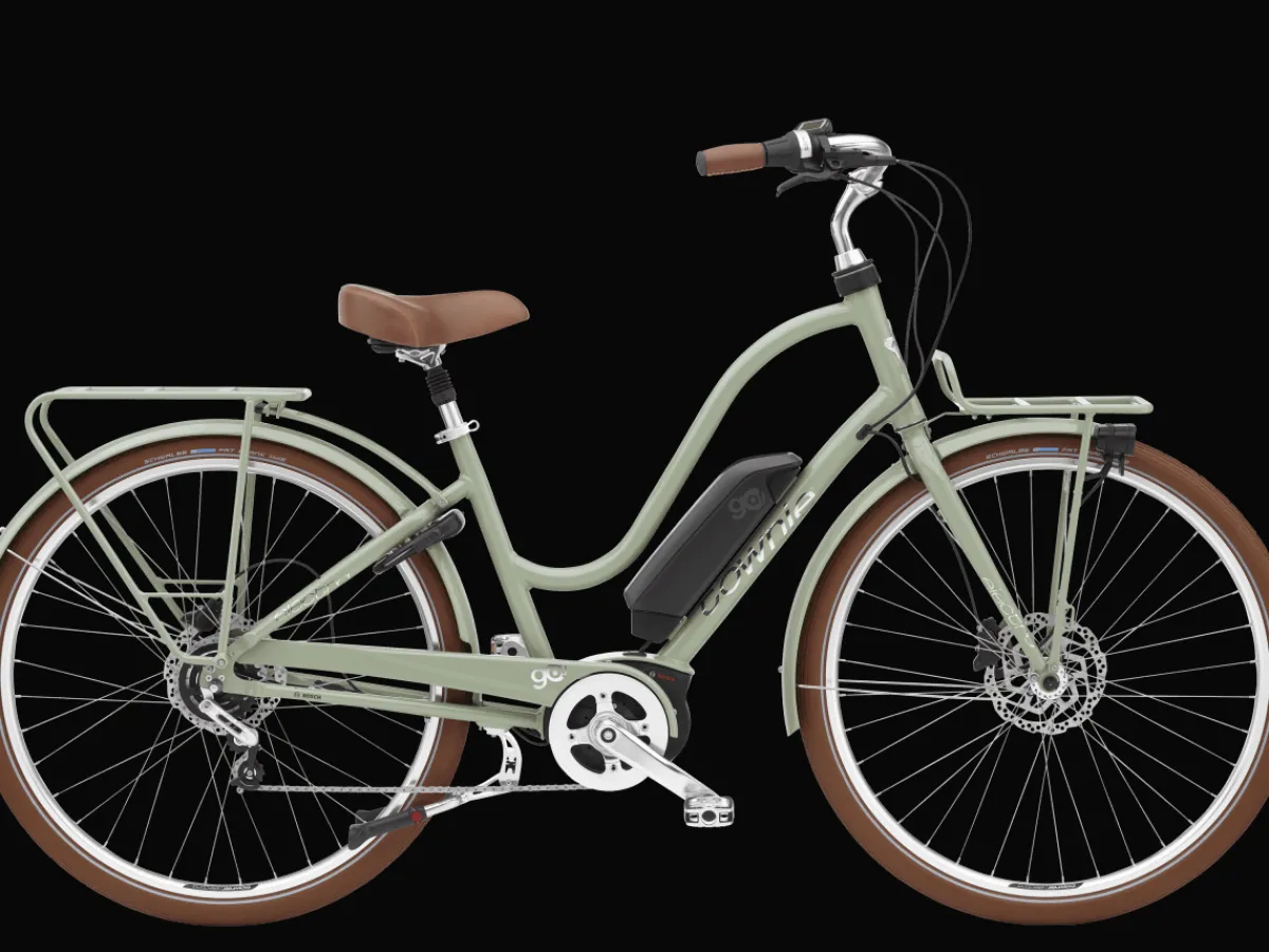 Trek Bikes Townie Commute Go! 5i Step-Thru Fashion
