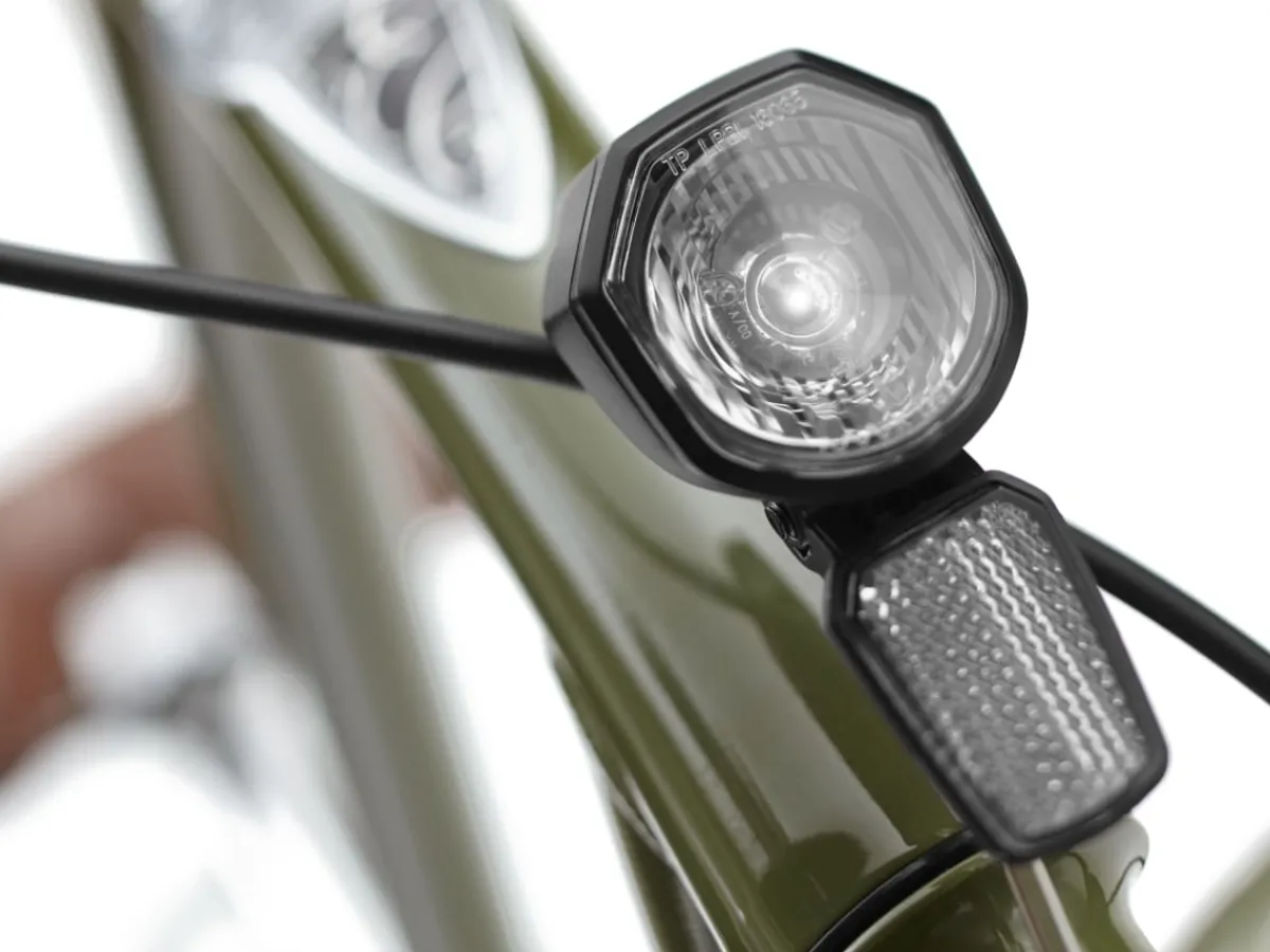Trek Bikes Townie Go! 5i Step-Over Online