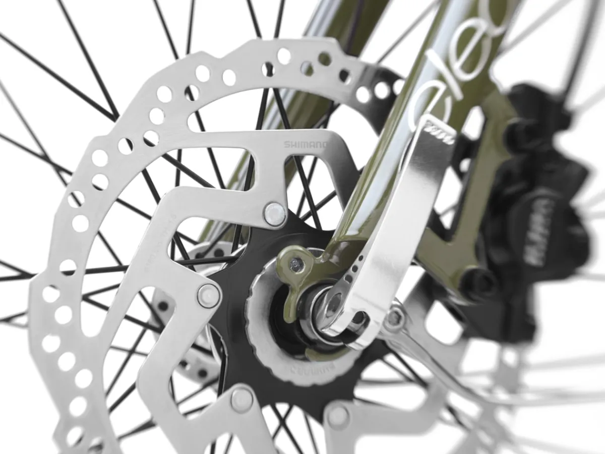 Trek Bikes Townie Go! 5i Step-Over Online