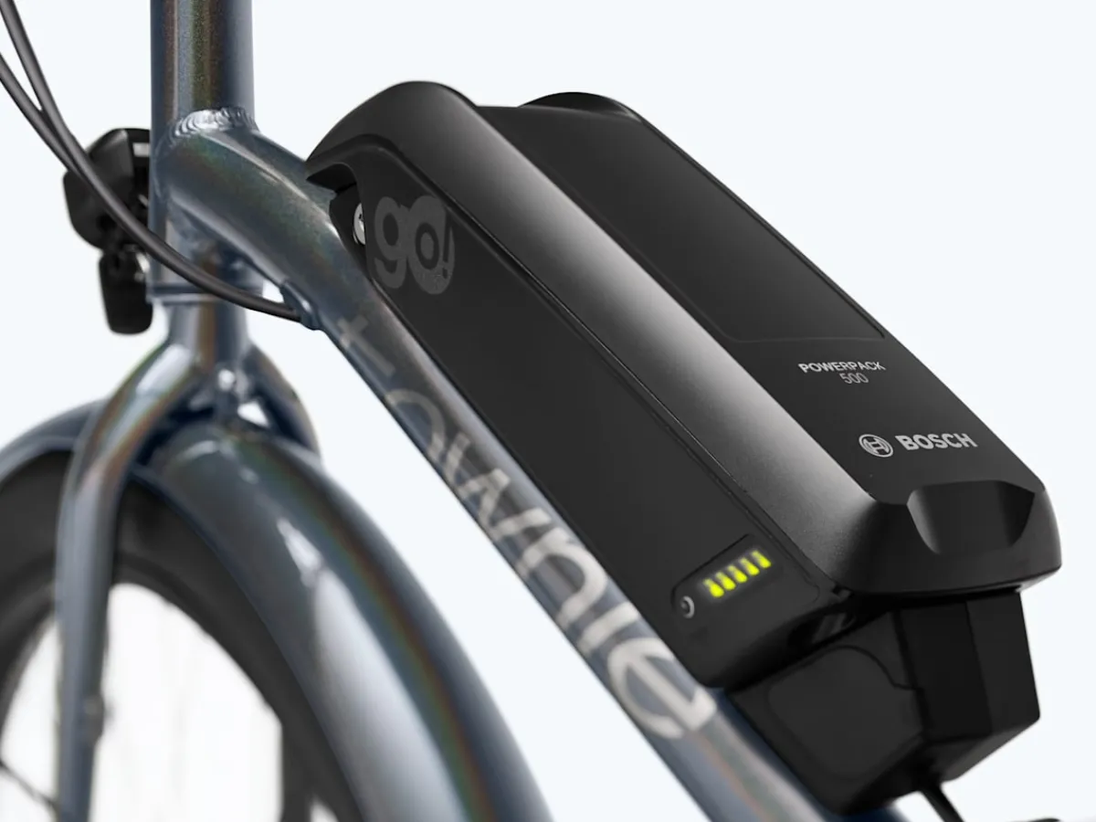 Trek Bikes Townie Go! 5i Step-Over Online