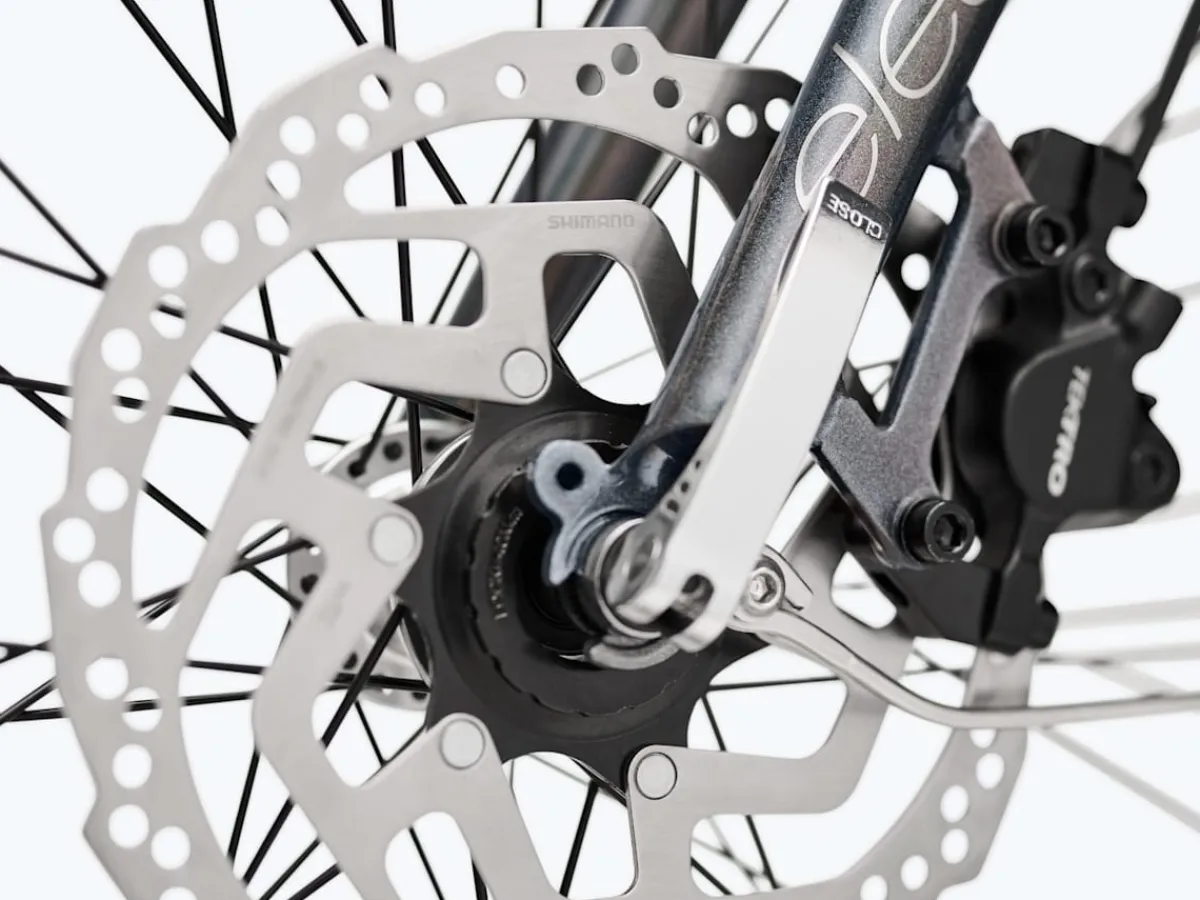 Trek Bikes Townie Go! 5i Step-Over Online