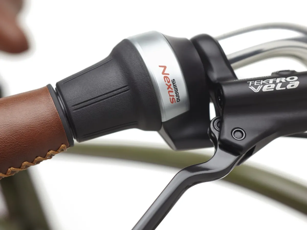 Trek Bikes Townie Go! 5i Step-Over Online