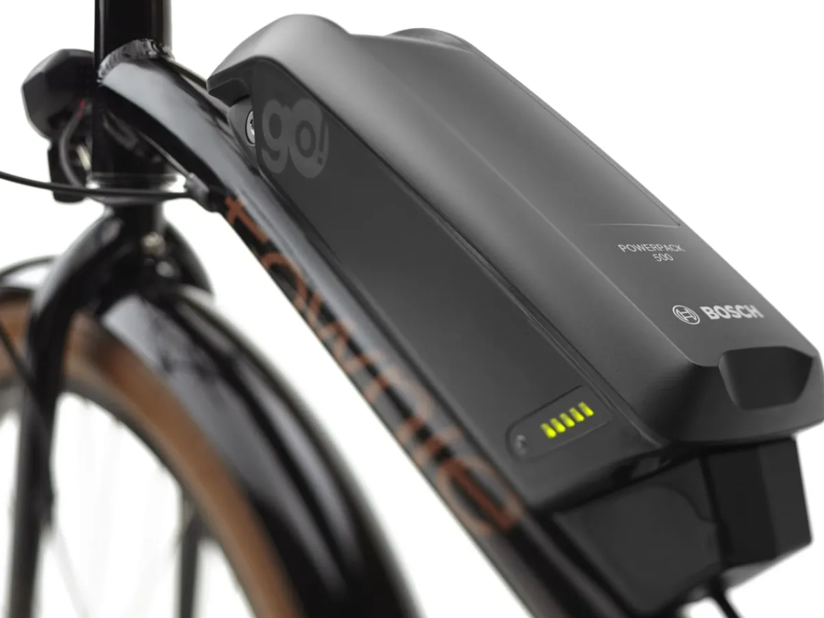 Trek Bikes Townie Go! 5i Step-Over Online
