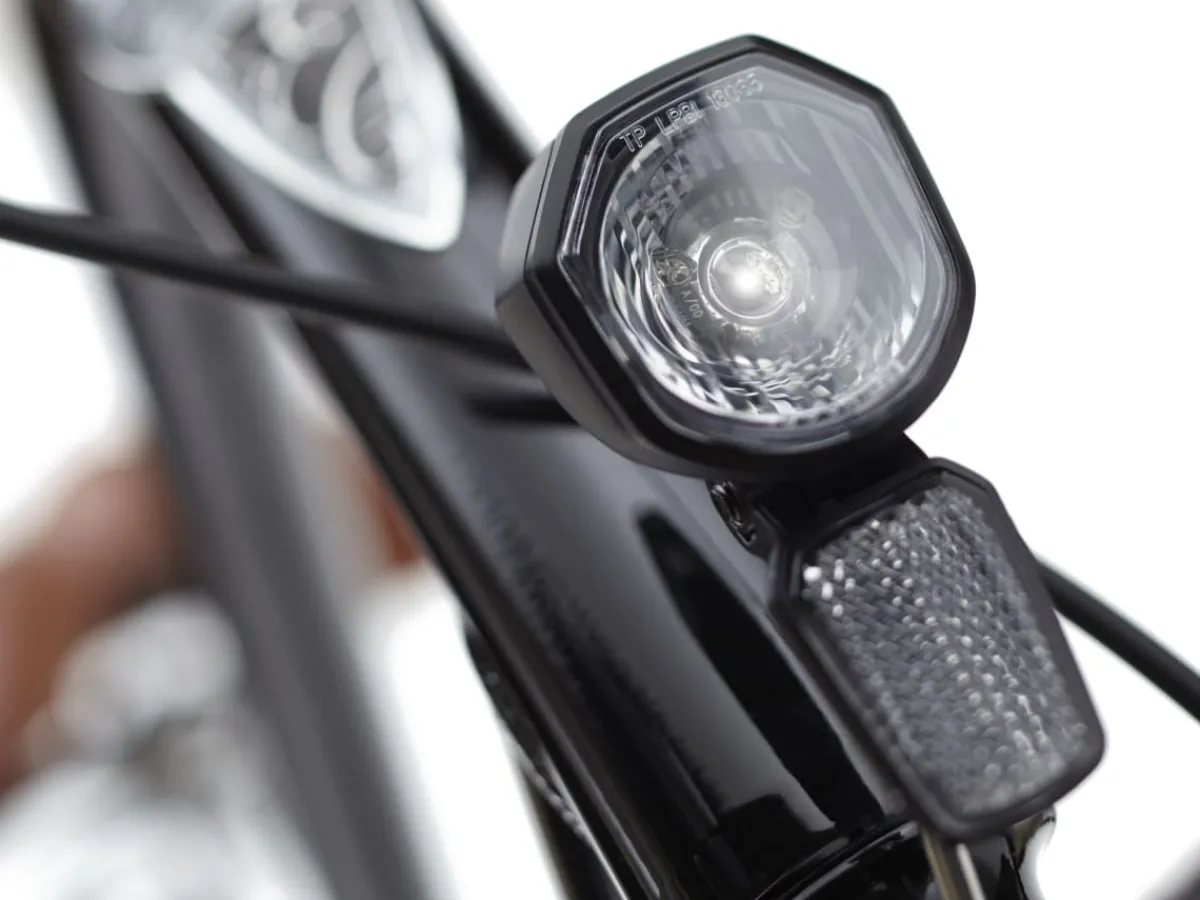 Trek Bikes Townie Go! 5i Step-Over Online