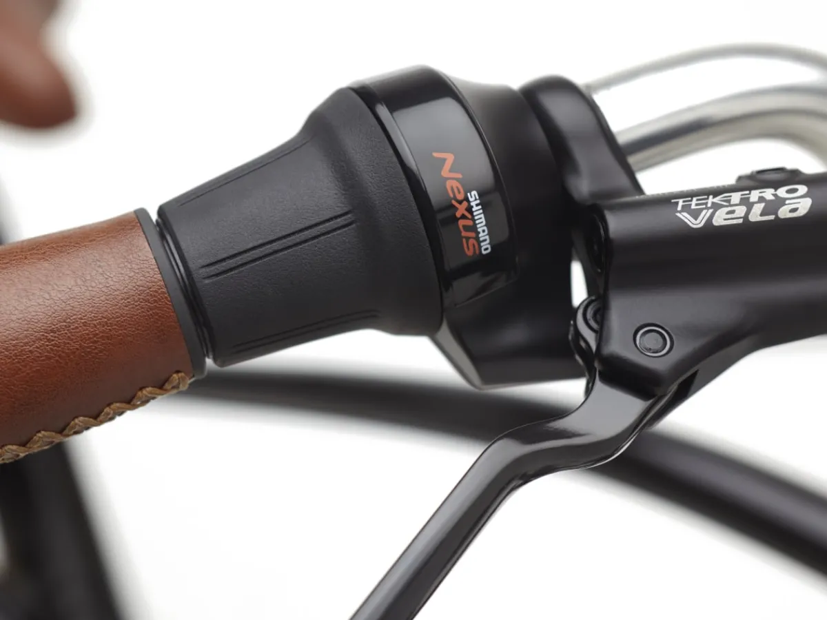 Trek Bikes Townie Go! 5i Step-Over Online