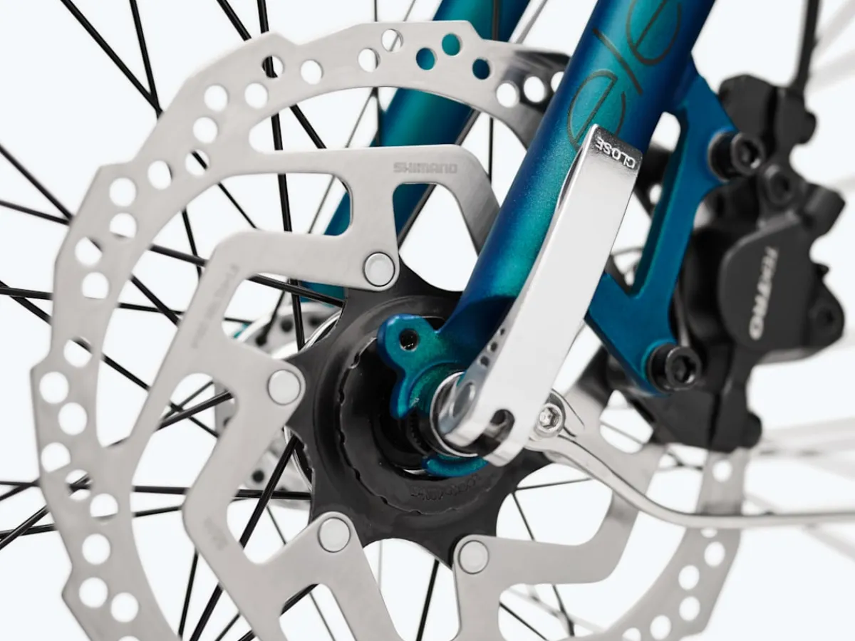 Trek Bikes Townie Go! 5i Step-Over Online