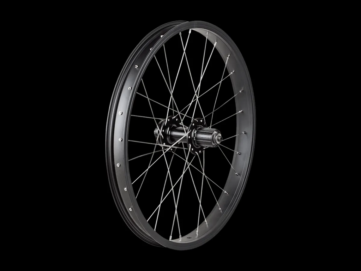 Trek Bikes Trek Roscoe Boost 20" MTB Wheel Flash Sale